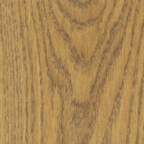 PLANK MERİDYEN